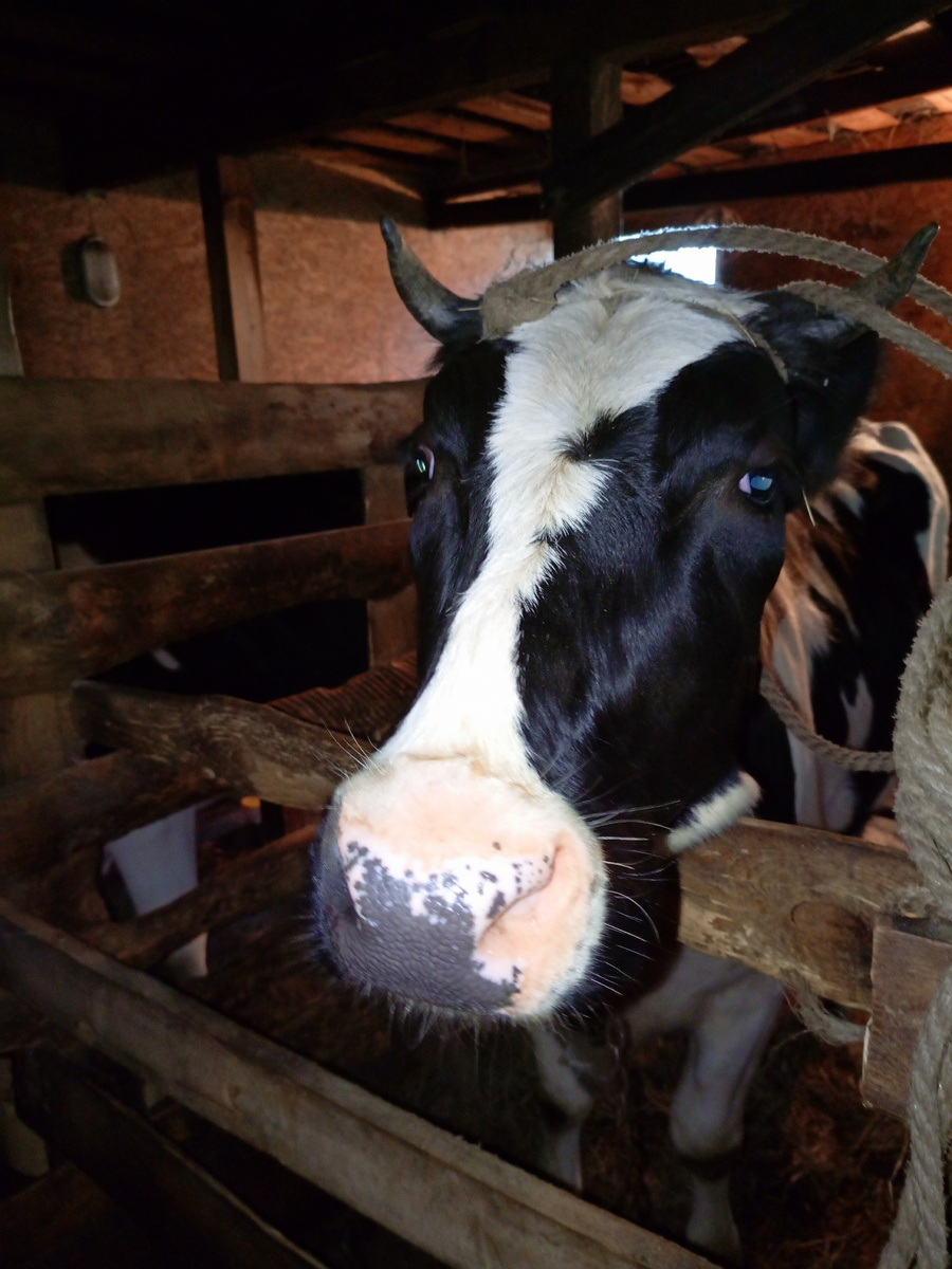 Фото автора канала. Ларочка.