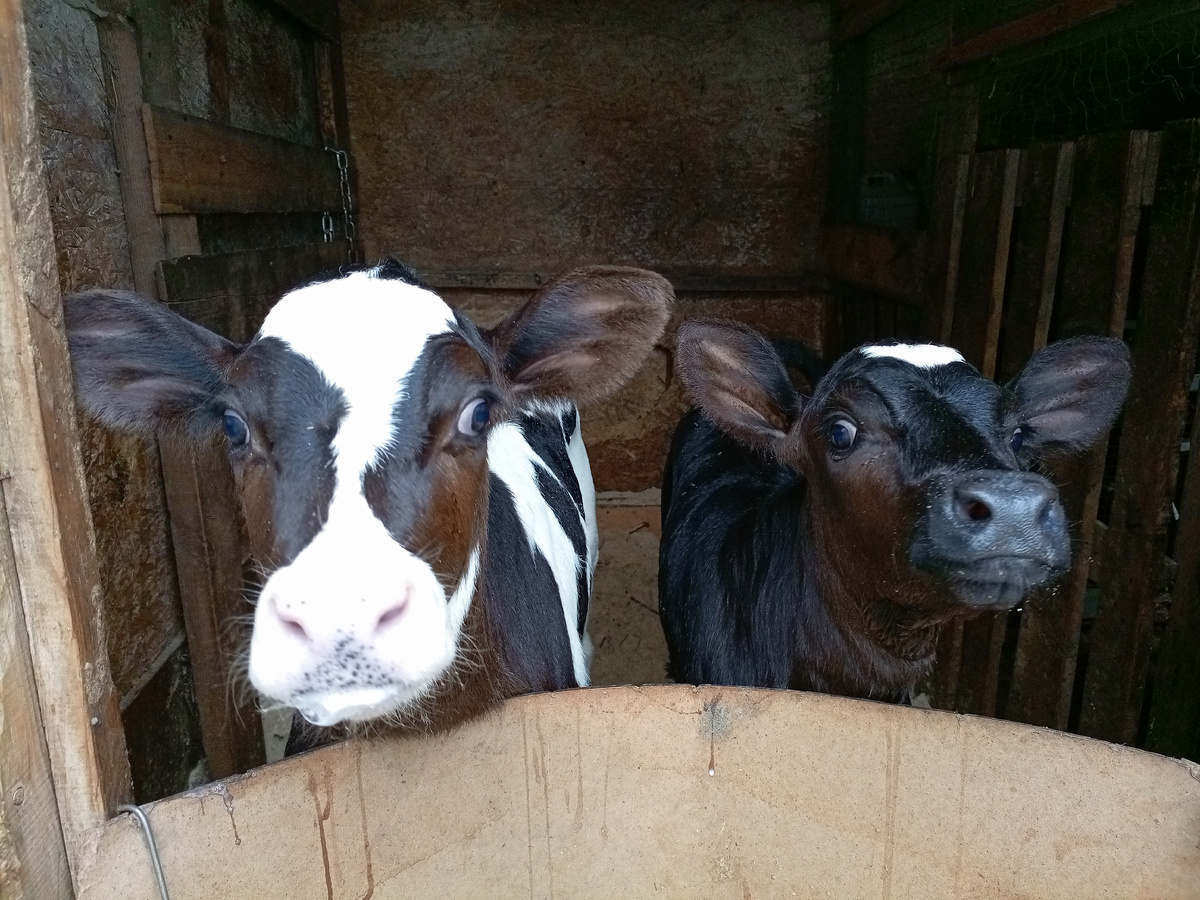 Фото автора канала.