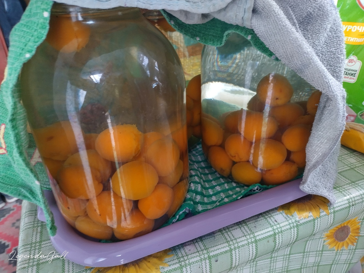 Это после первой заливки. Сейчас укутанные стоят.