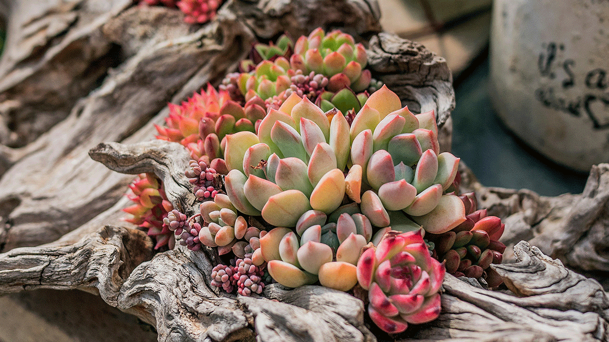 фото с сайта unsplash.com