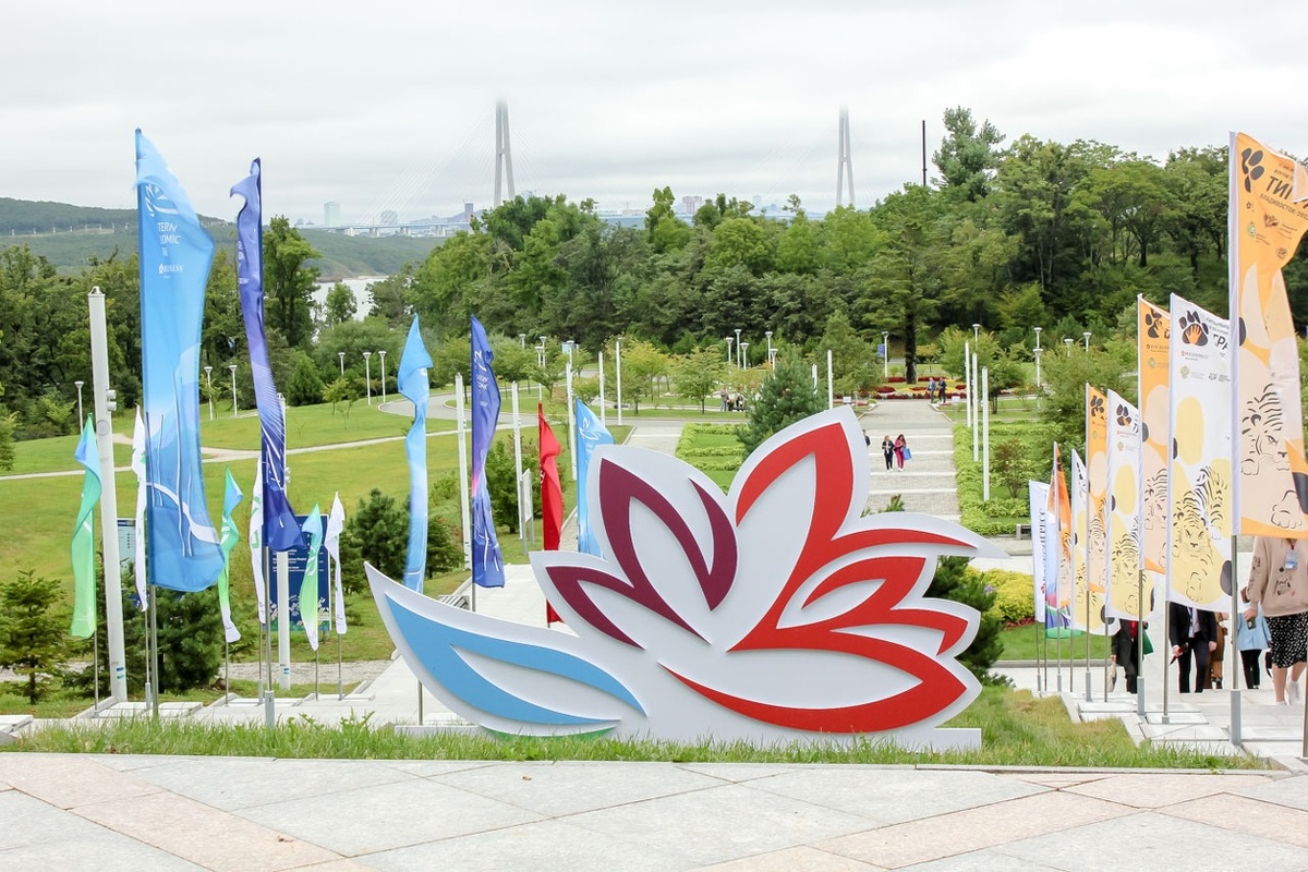 Мероприятие пройдет в рамках подготовки IX Восточного экономического форума.  Фото: ФедералПресс / Анастасия Полетаева