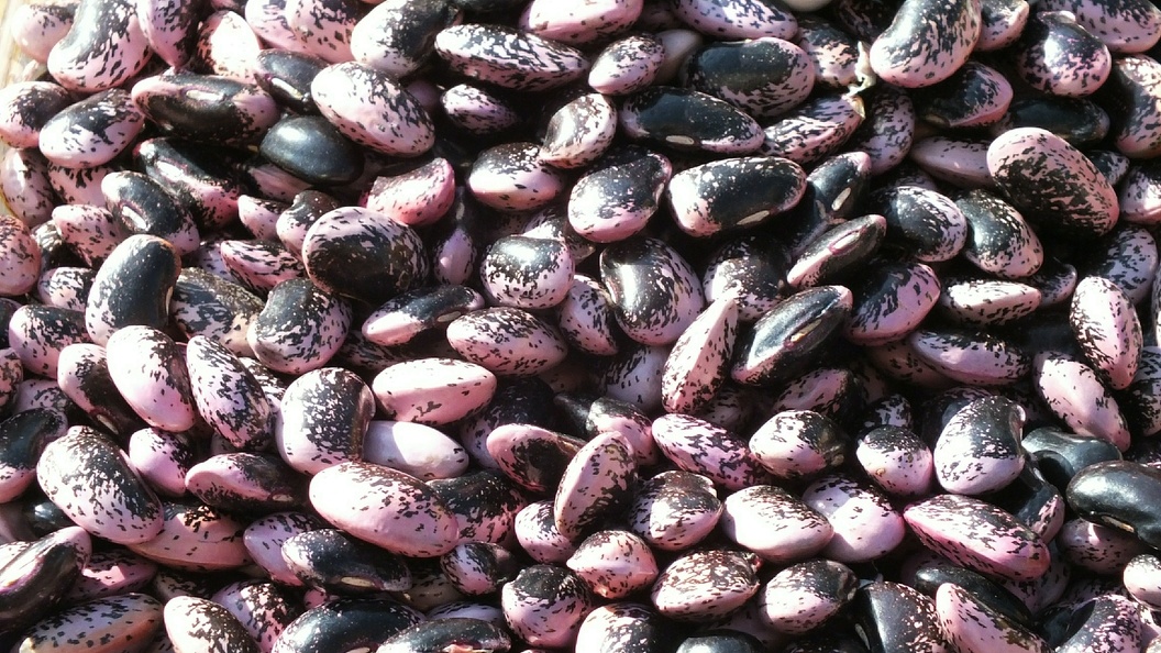    Victor Lisitsyn/Globallookpress