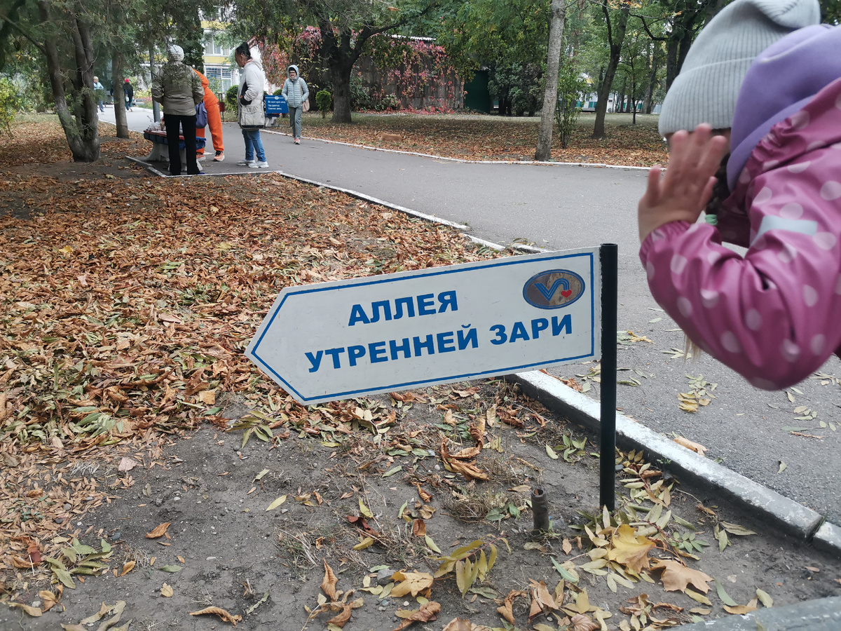 Эмоции - это нормально. Они помогают нам пережить события. Фото автора.