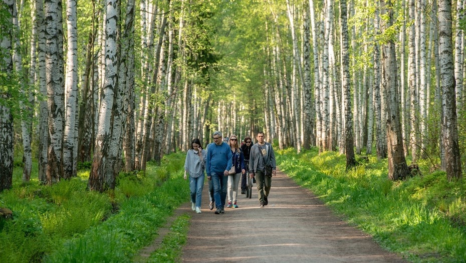    Автор фото: Михаил Тихонов