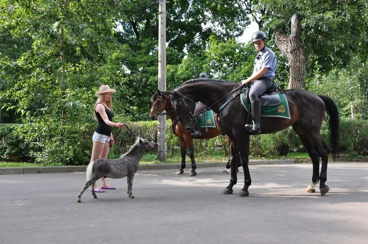 Здравствуйте, а продайте сигареты? Мне уже 18 есть, честное слово! 