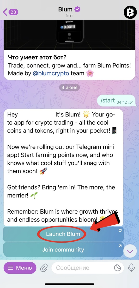 Телеграмм бот Blum