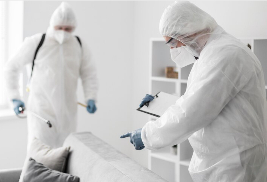 Фото: freepik.com