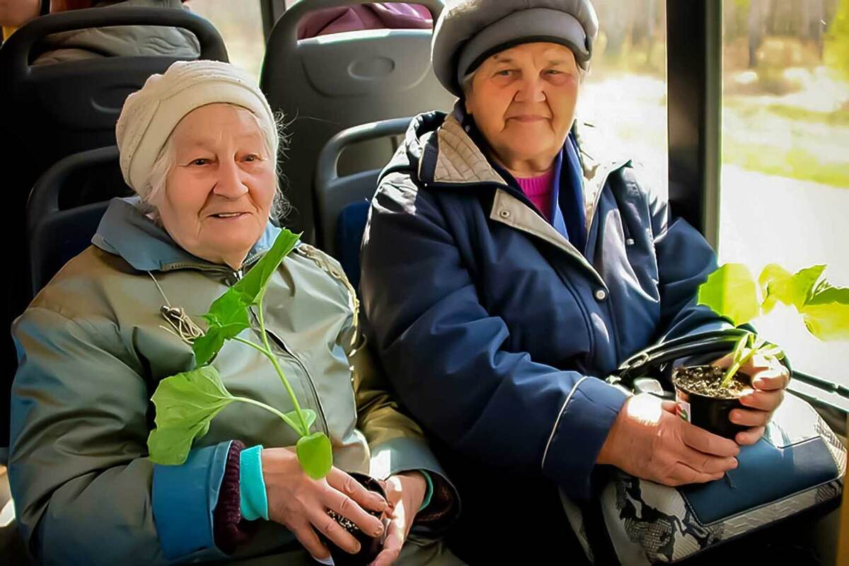 фото из открытых источников