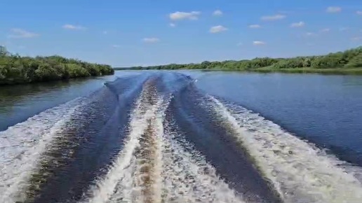 На катере по реке Мсте