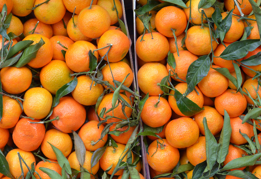 В партии общим весом 4,768 тонны был обнаружен опасный карантинный вредитель