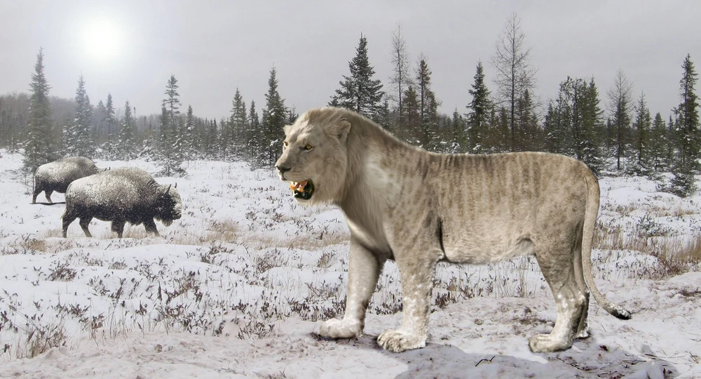 Первые итальянские львы