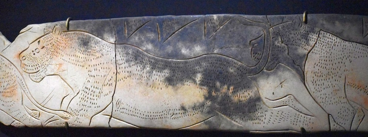 Удивительная детализация.
Источник фото: https://sun1-90.userapi.com/impg/I6KDIqc2Aj0duKWR0WS_WbBehOfa51xkNPf26Q/05ICTrIYkcA.jpg?size=1280x500&quality=95&sign=df37680afc1498a8417057e4d77686a3&type=album