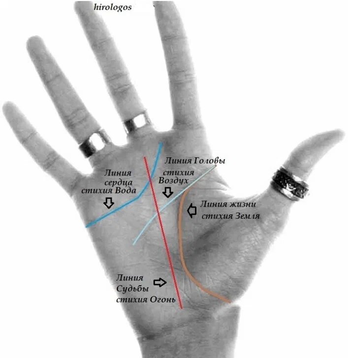Карта руки.