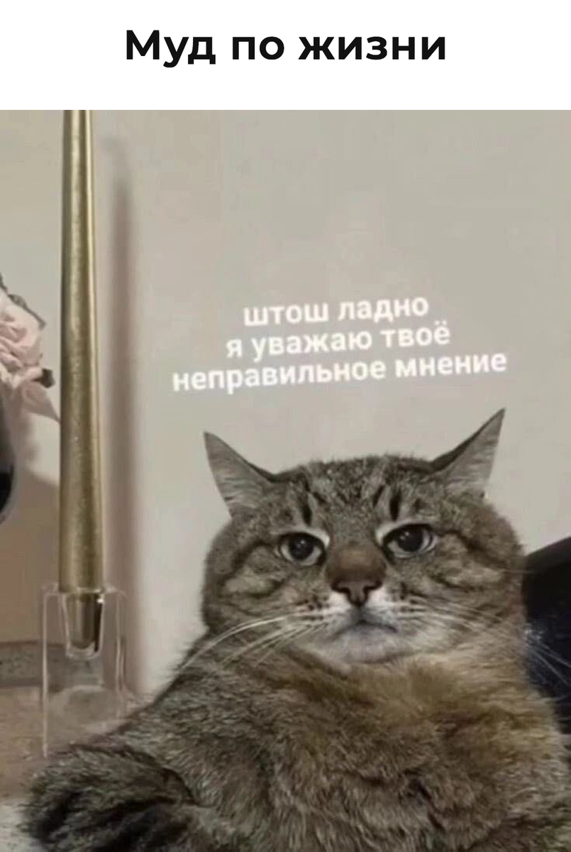 scale_1200