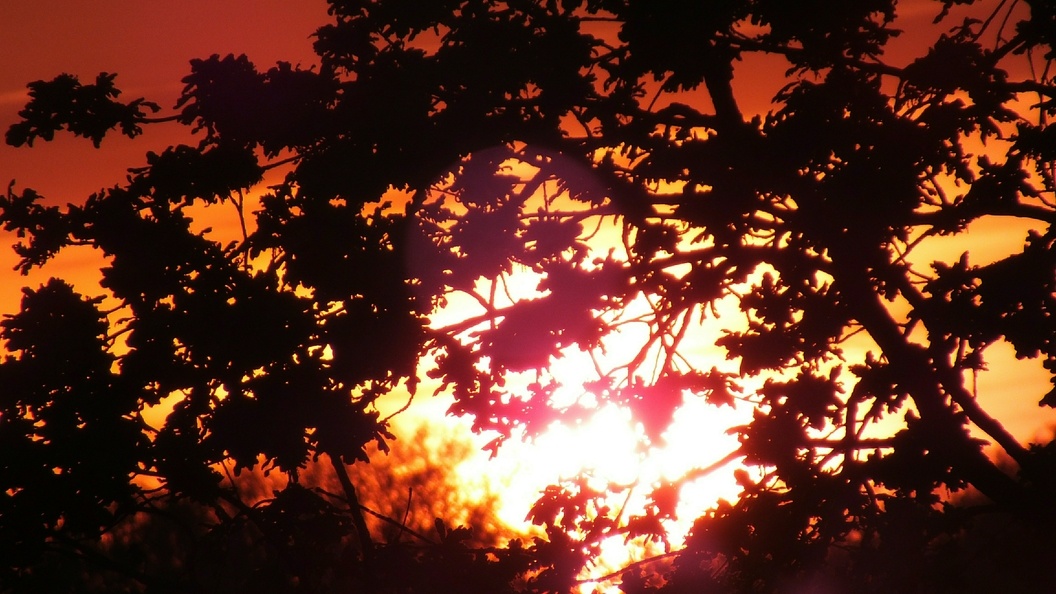    Фото: Victor Lisitsyn, Виктор Л/Globallookpress