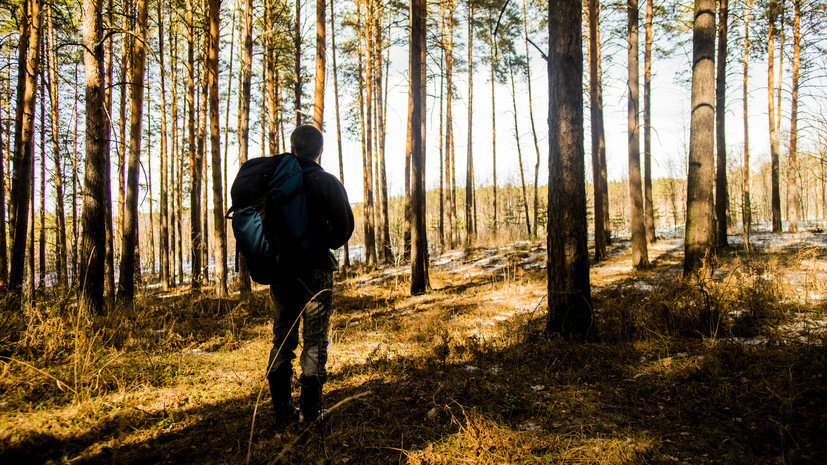   Gettyimages.ru Aleksander Rubtsov