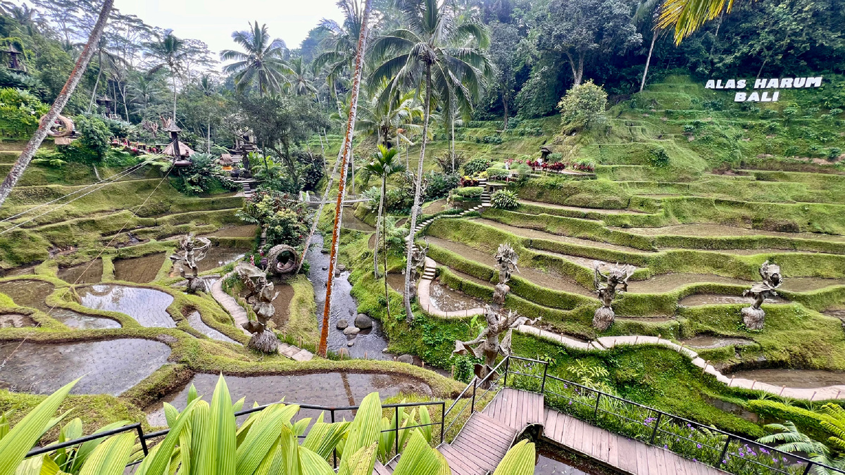 Cretya Ubud