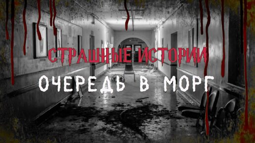 СТРАШНЫЕ ИСТОРИИ НА НОЧЬ | Очередь в морг | СТРАШИЛКИ НА НОЧЬ