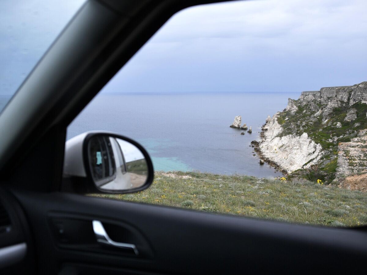    Прострел крымский или Сон-трава на плато горы Челтер-Кая© РИА Новости / Алексей Мальгавко