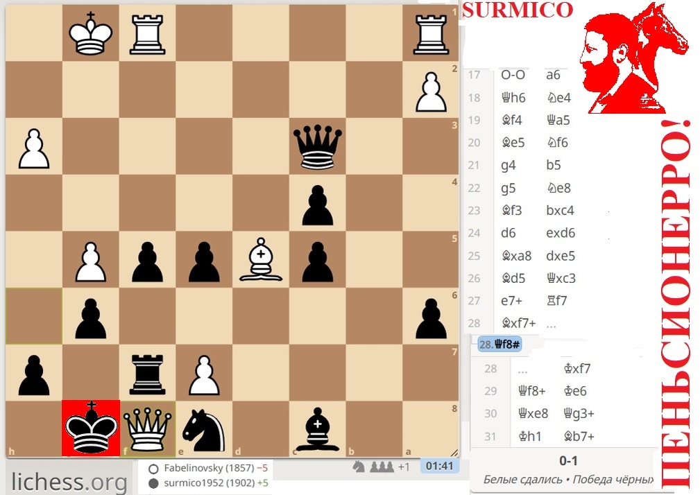 Иллюстрация автора. Вот такой мат я просмотрел. И он тоже!