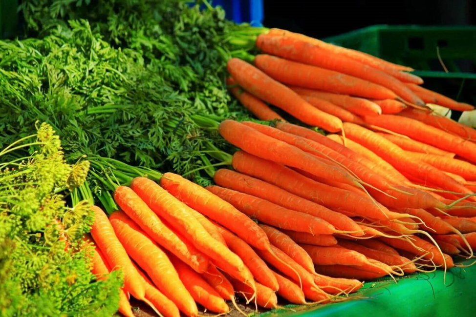 Что мы знаем о моркови?