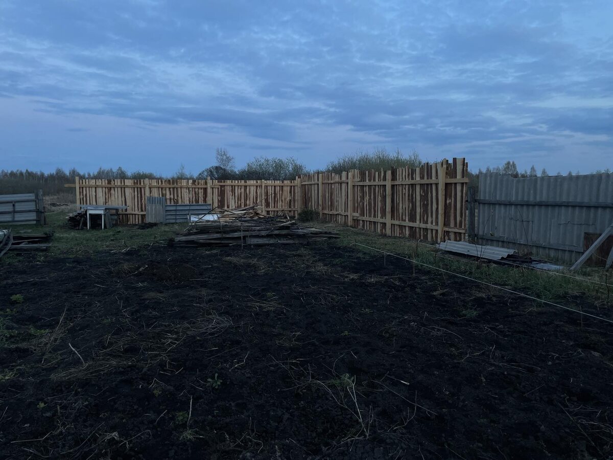 Зародыш малинника справа) 