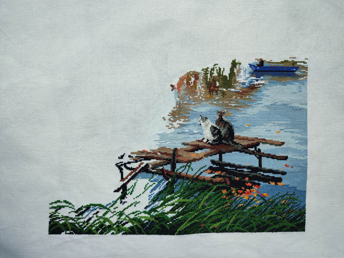 Чистые котики) 