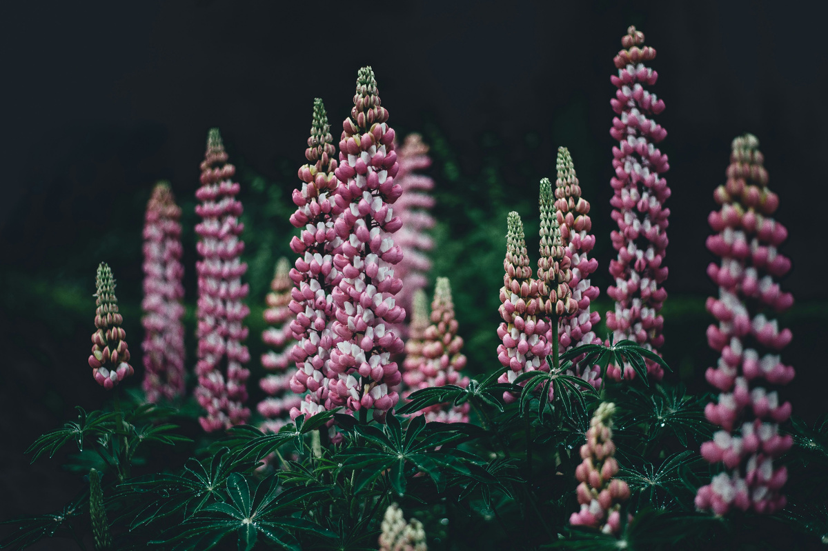 https://unsplash.com/