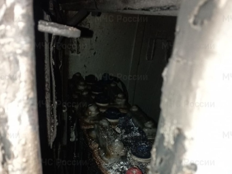     Фото: МЧС по Калужской области