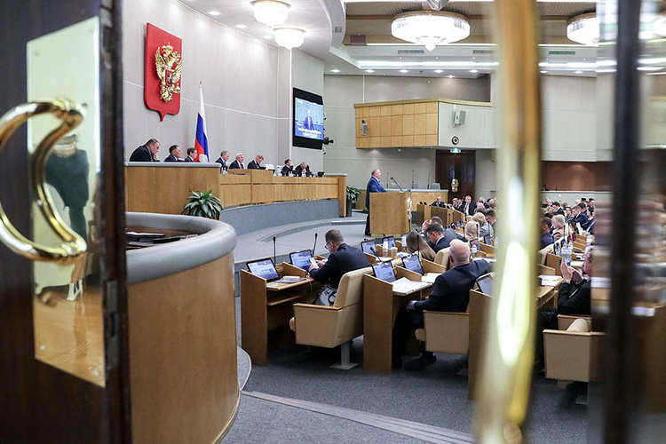 Фото: duma.gov.ru