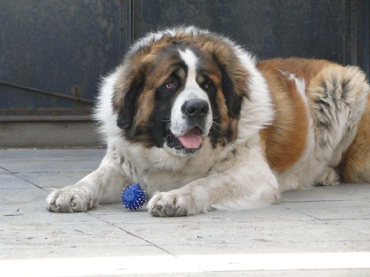 Из открытых источников.