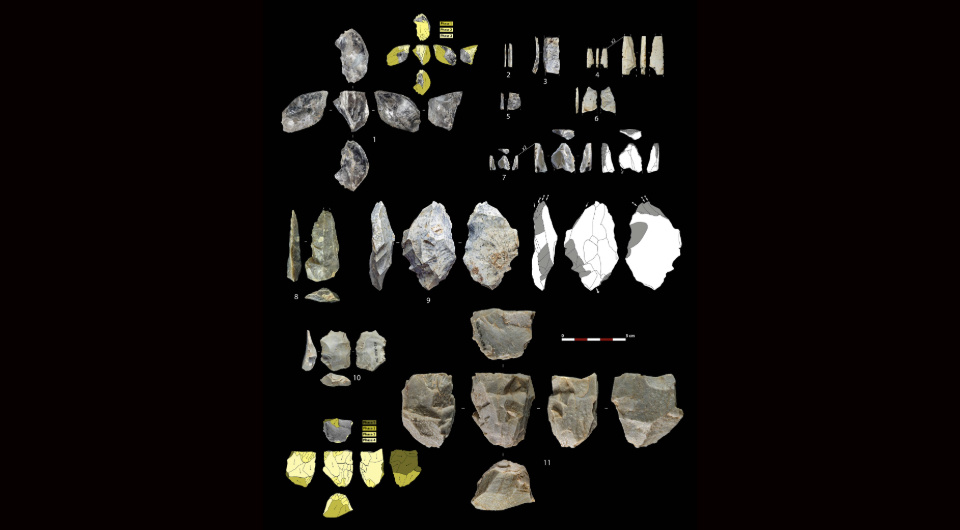   Nohemi Sala et al. / Science Advances, 2024