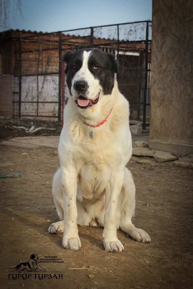 дочка Харона 