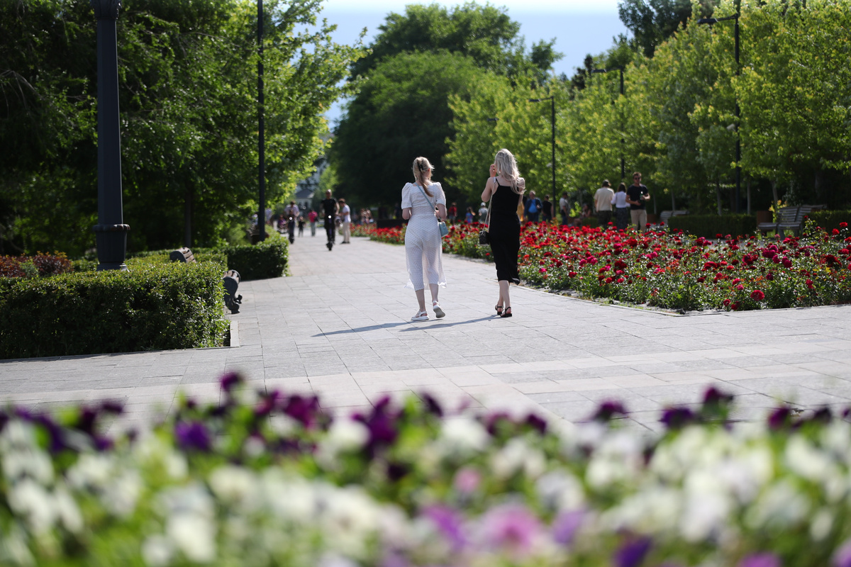 © Фото: ИД «Волгоградская правда» / Кирилл Брага