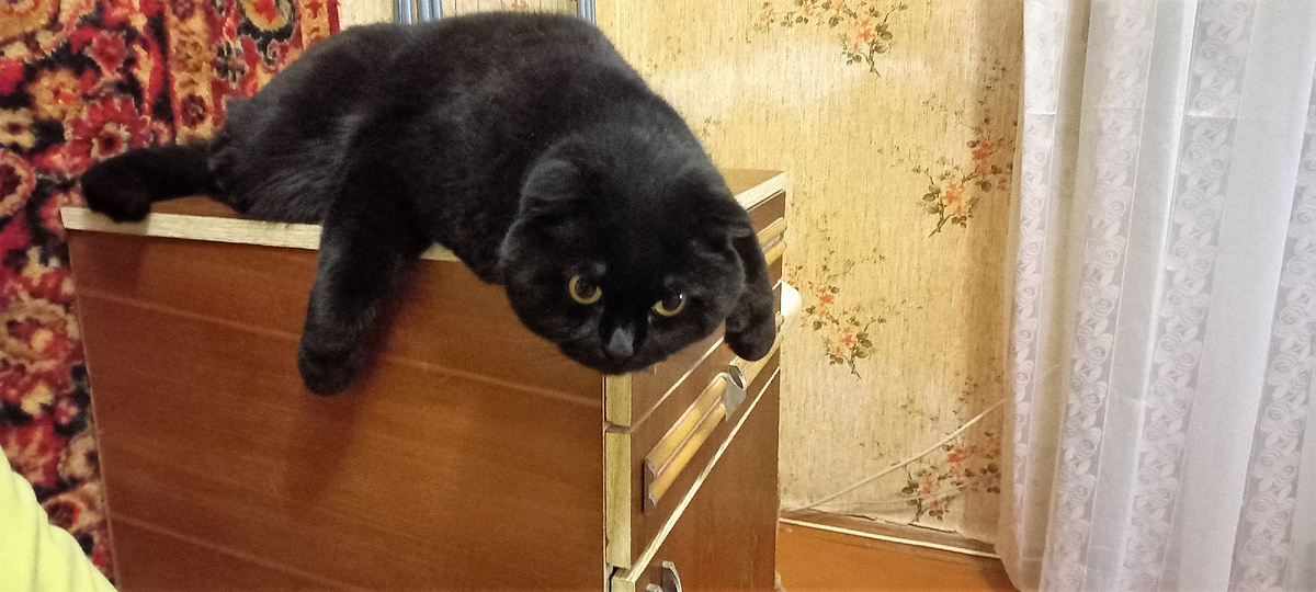 Благодарю за фото Марину АБРОСНОВУ)