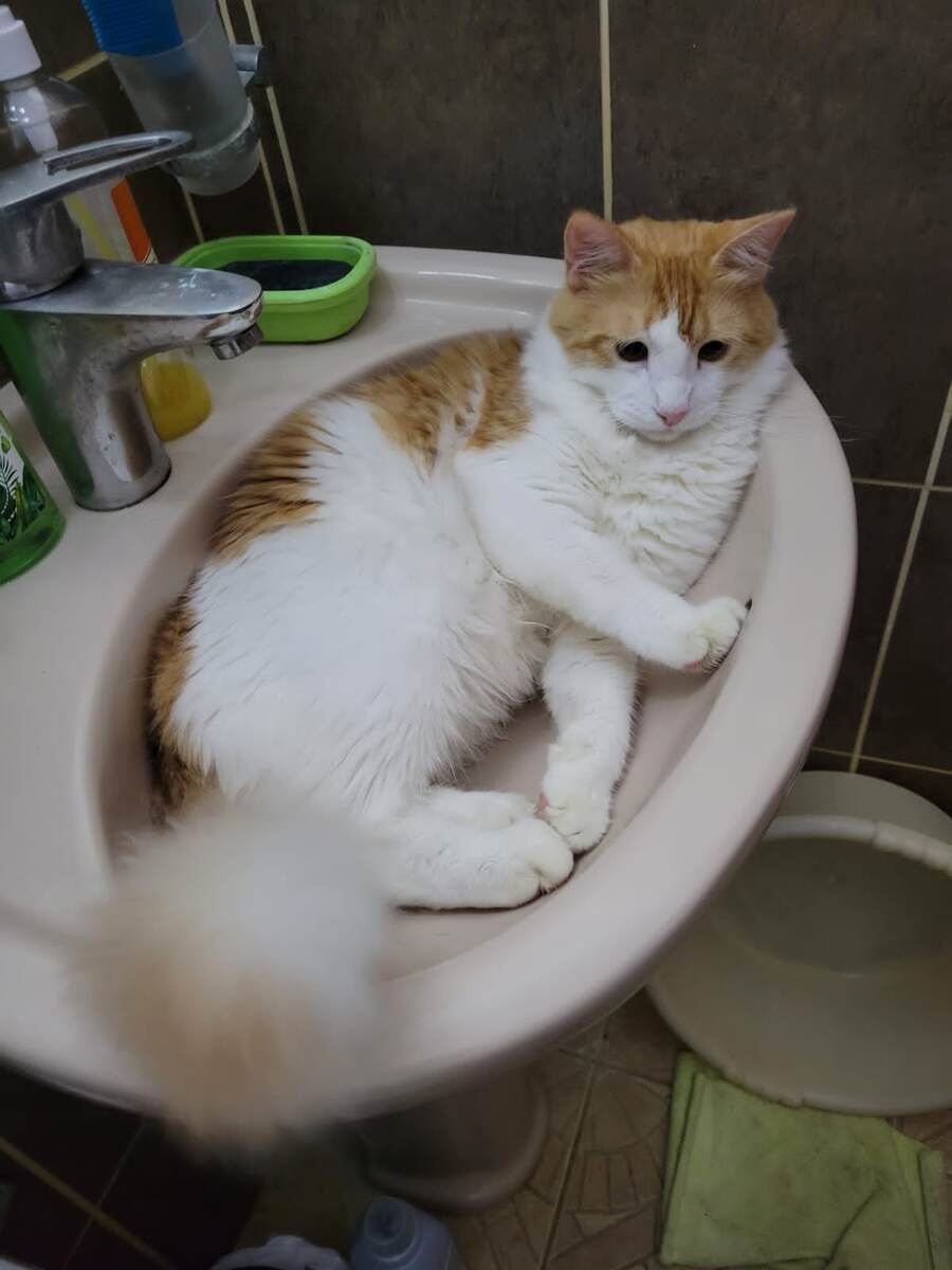 Благодарю за фото Миши Любовь БОЙЦОВУ)