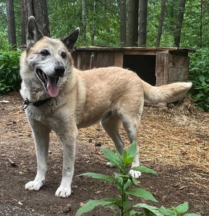 Сёма Саламатов 
