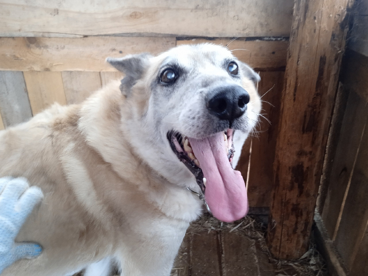 Мы первое время даже думали , что он слепой .