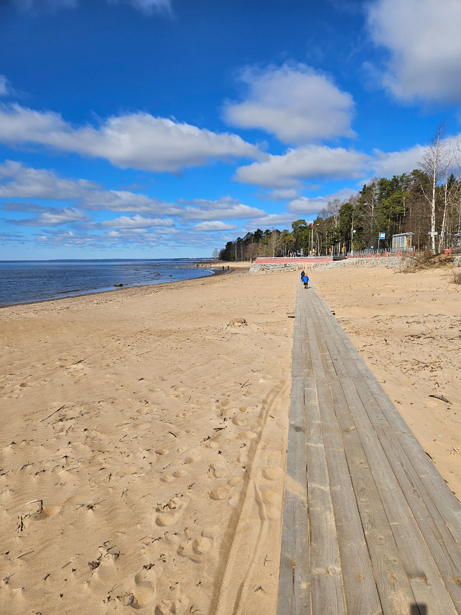 От Репино в сторону Комарово