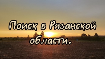 Поиск в Рязанской области. Коп июнь 2024.