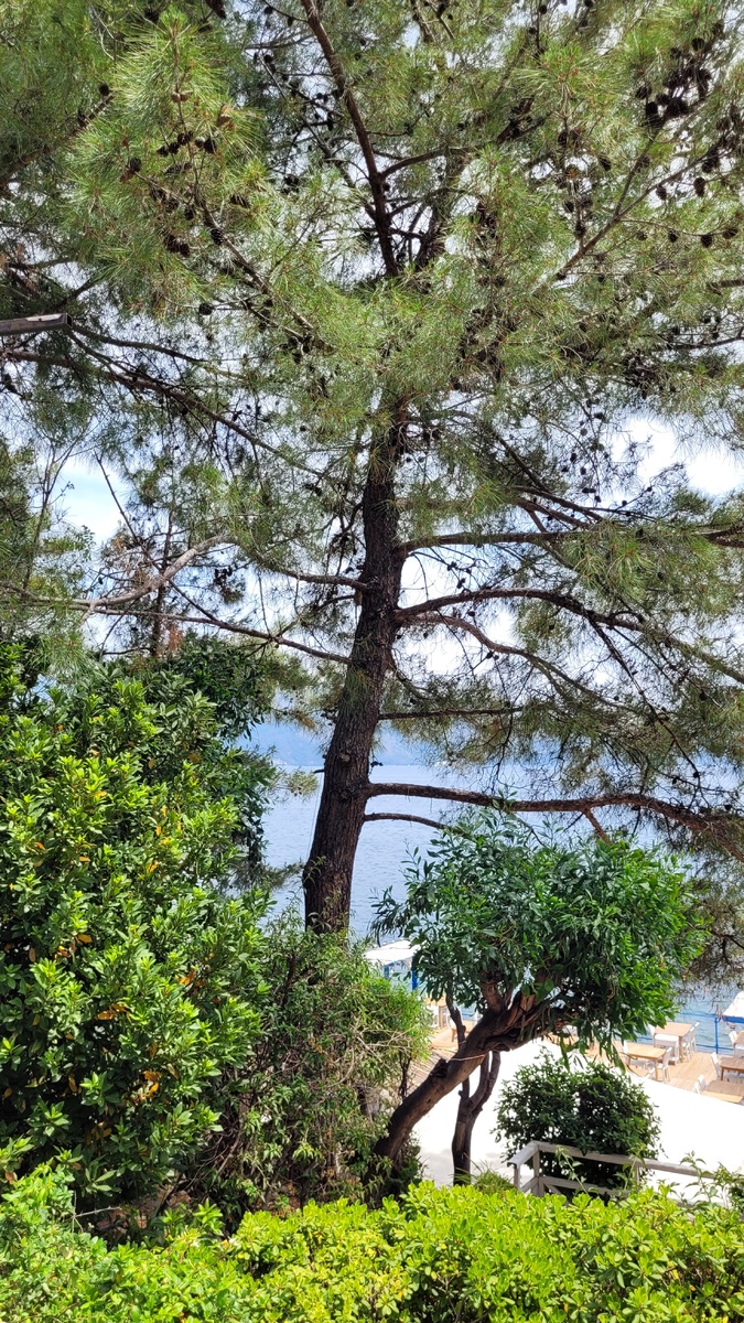 Территория Labranda Mares Marmaris 5*