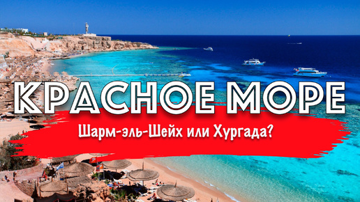 Все то, за что вы ТАК любите Красное море! 🌊🏖️ #Египет