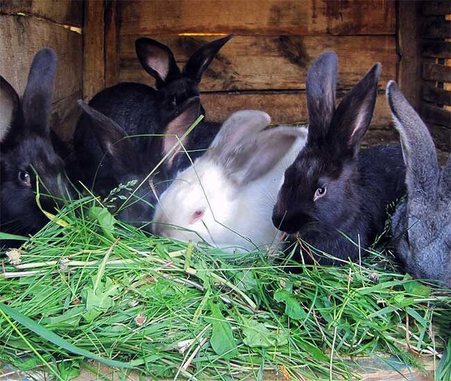 Против природы не попрёшь.