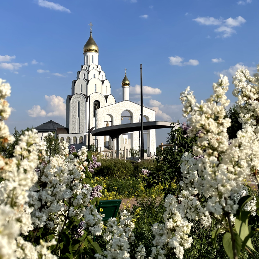 На набережной полуострова Покровское-Стрешнево раскинулся экопарк Primavera, построенный девелопером «Стадион «Спартак» в рамках комплексного развития района.-2