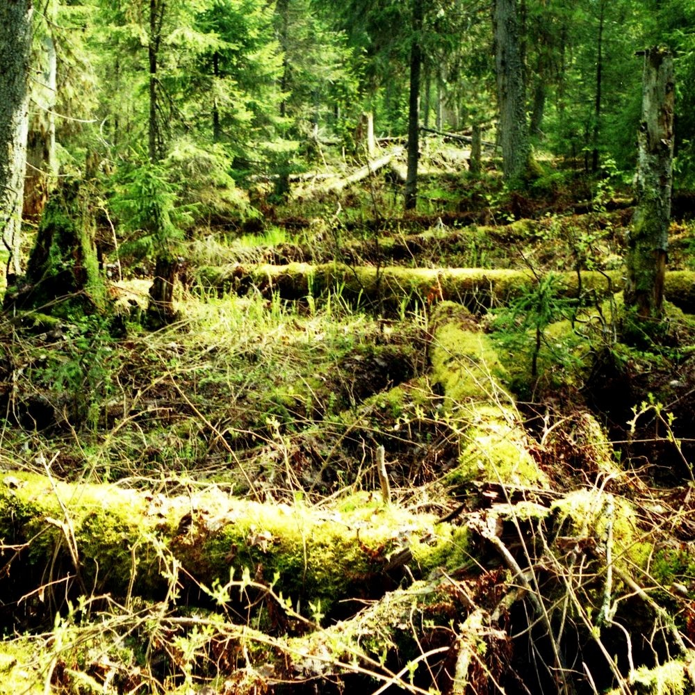 это - хорошо (все фоты автора)