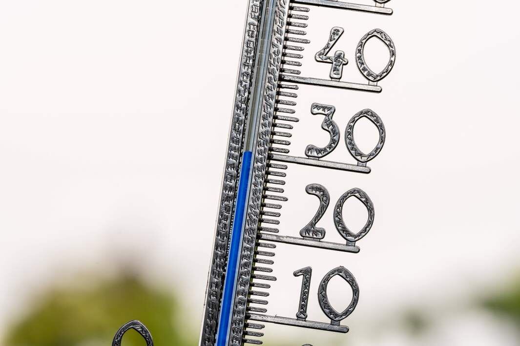 Фото: Global Look Press/IMAGO/Michael Bihlmayer