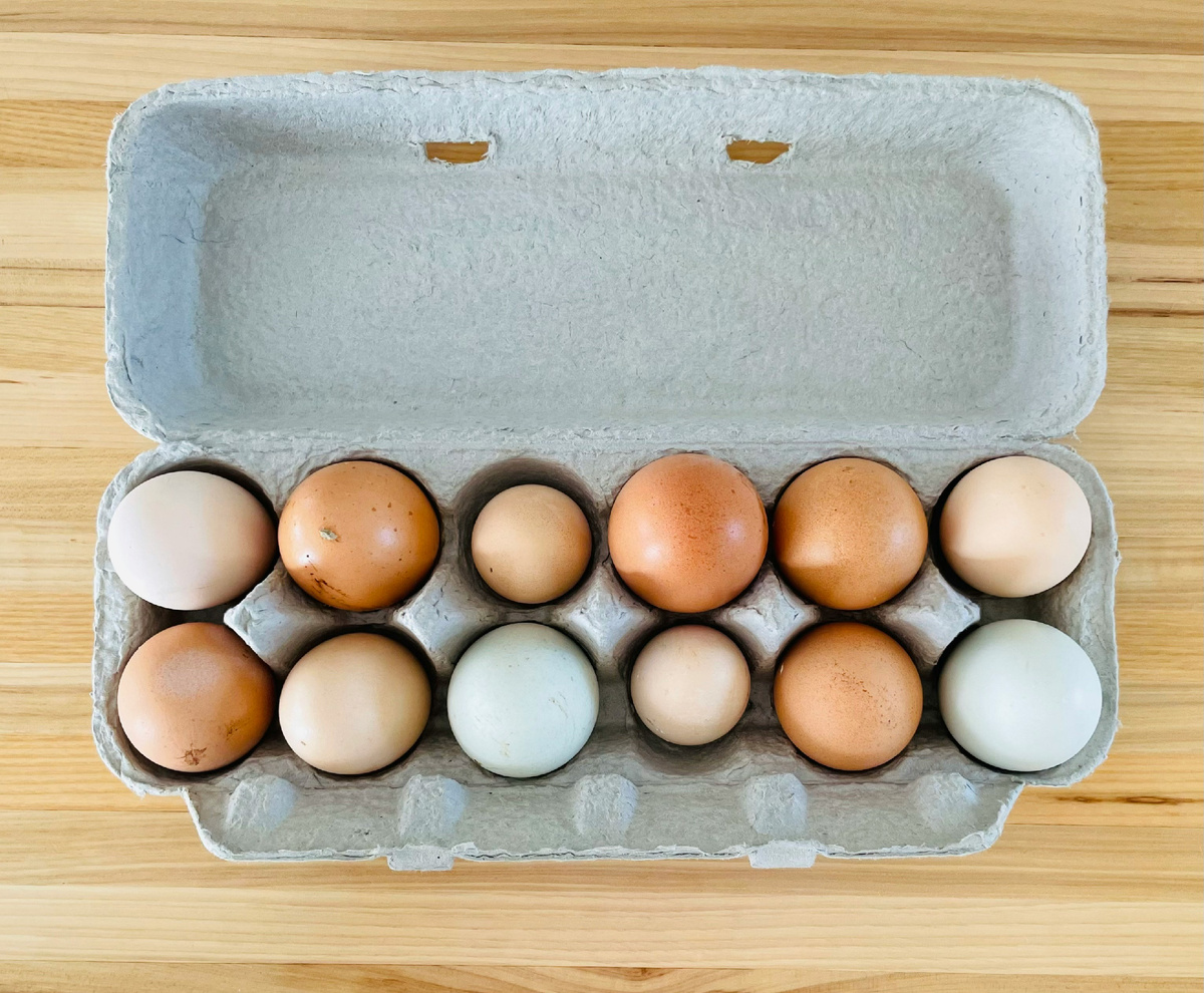 Дюжина яиц https://unsplash.com/photos/a-carton-of-eggs-jIfVrNrhbI8