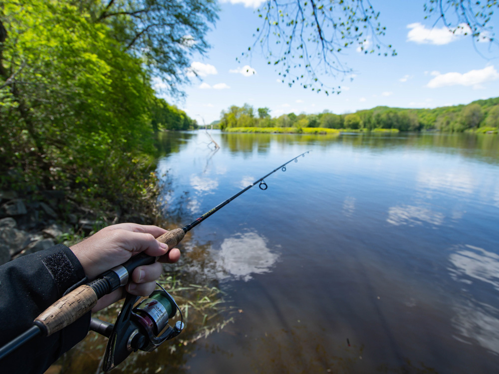 Фото с сайта: https://cdn.ananasposter.ru/image/cache/catalog/poster/drugoe/74/47875-1000x830.jpg