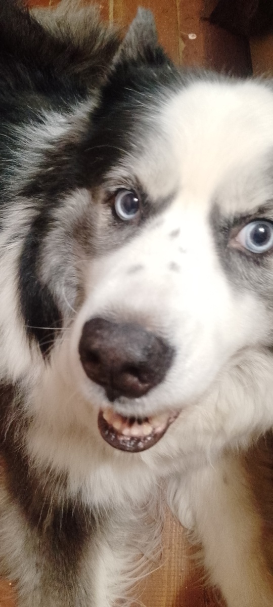 Личное фото