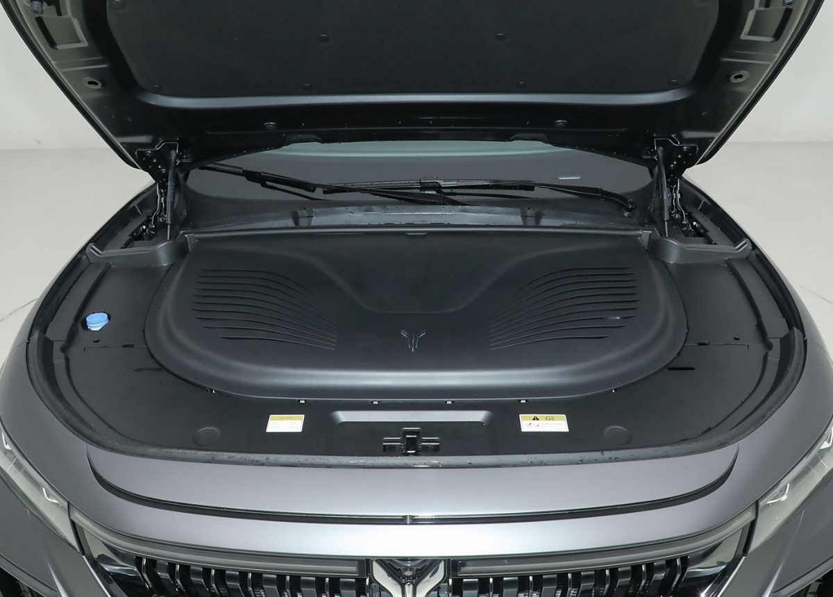 Моторный отсек в Voyah Free 318